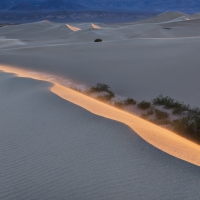 Mesquite Dune, Morning Light