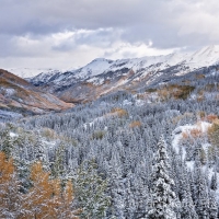 Snow and Fall Colors, Colorado