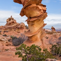 The Control Tower, South Coyote Buttes