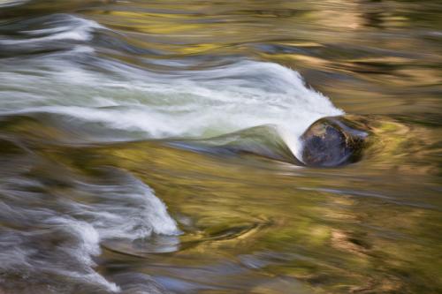 Merced River Rock and Reflection