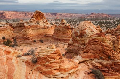 South Coyote Buttes Amphitheater Overlook