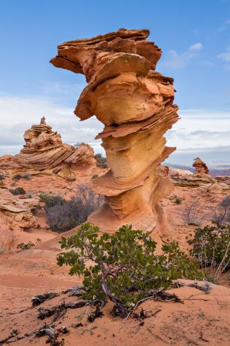 The Control Tower, South Coyote Buttes