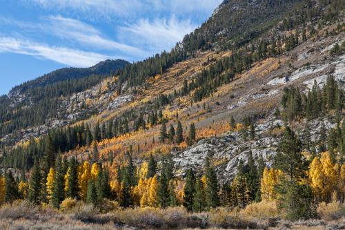 IMG 8431 FallColorsNorthLakeRoad