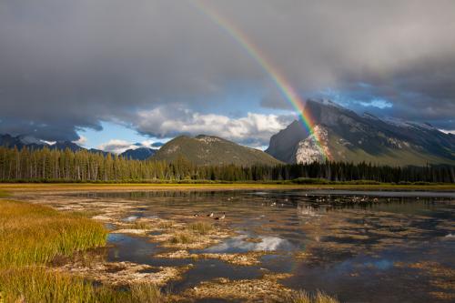 Vermillion Lake Rainbow
