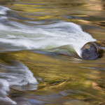 Merced River Rock and Reflection