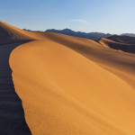 Mesquite Dunes, Morning Sun