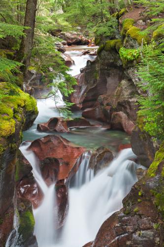 Avalanche Creek I