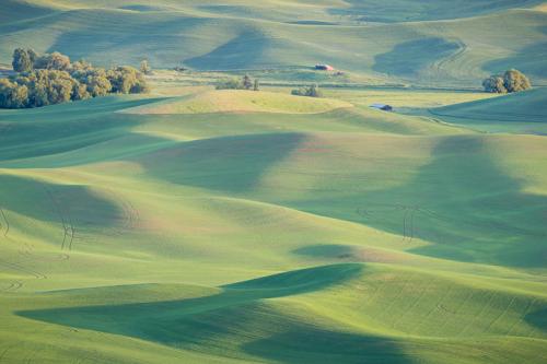 Palouse